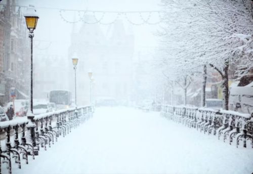 Latest company news about 겨울 여정의 시작: 입동 맞이하기